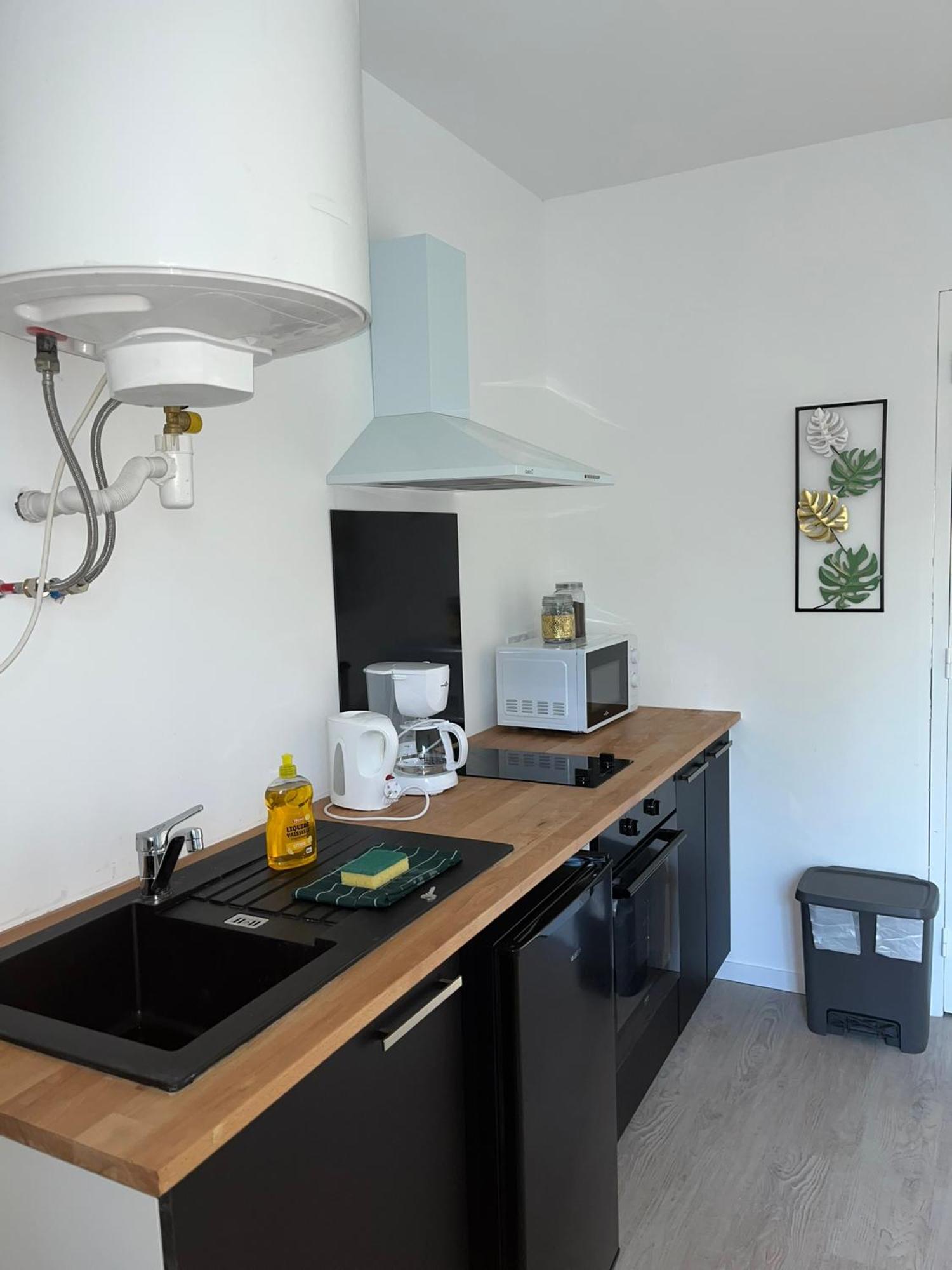 Studio Tropical , Vierzon , Proche Gare , Tout Confort Buitenkant foto